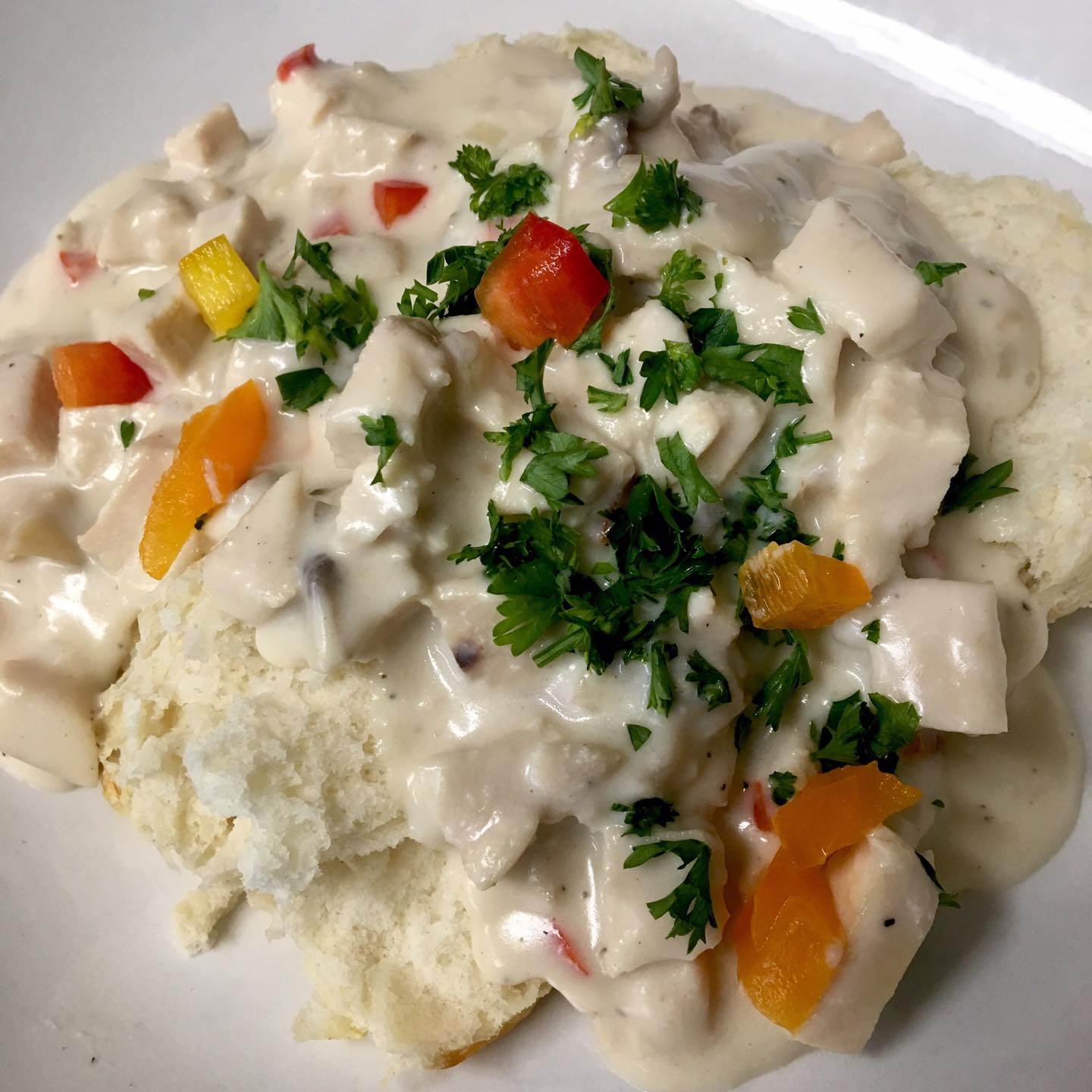 121977042_3464816553597551_7412403233663833227_n