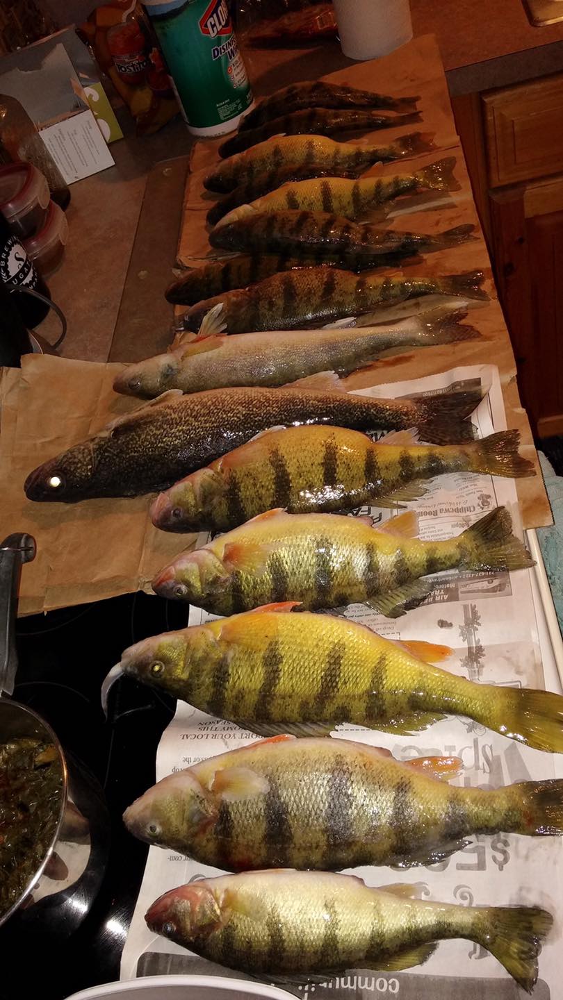 96102819_2999482076797670_3939532531480657920_n